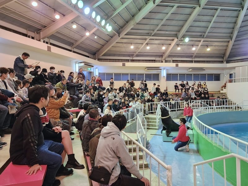 2023-11-22 東京賞楓旅Day4-2 夜訪讀賣樂園(