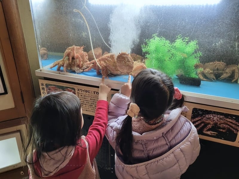 2023-11-22 東京賞楓旅Day4-1 富岡八幡宮+新 2023-11-22 東京賞楓旅Day4-1 富岡八幡宮+新