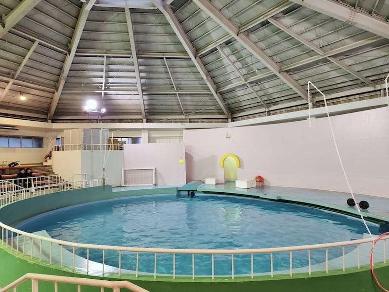 2023-11-22 東京賞楓旅Day4-2 夜訪讀賣樂園(