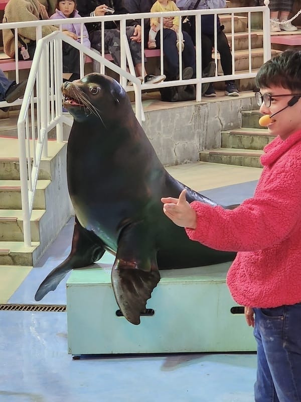 2023-11-22 東京賞楓旅Day4-2 夜訪讀賣樂園(