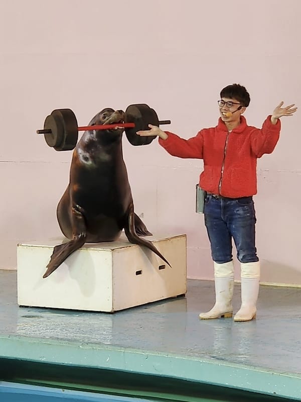 2023-11-22 東京賞楓旅Day4-2 夜訪讀賣樂園(