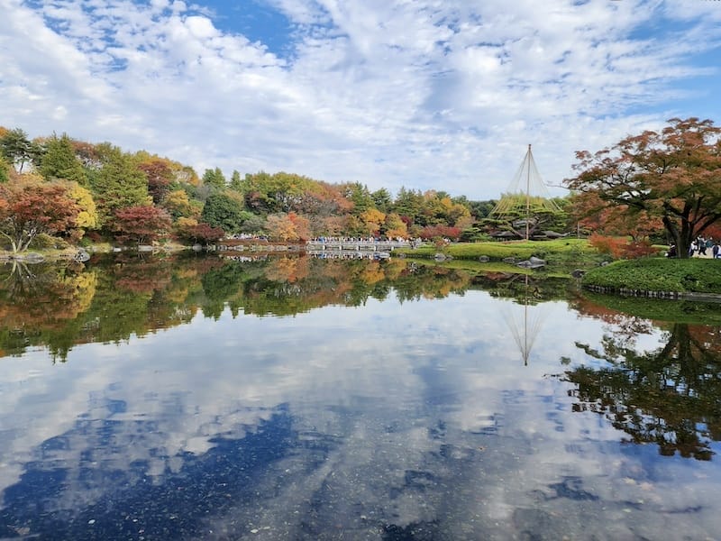 2023-11-23 東京賞楓旅Day5 昭和紀念公園銀杏步