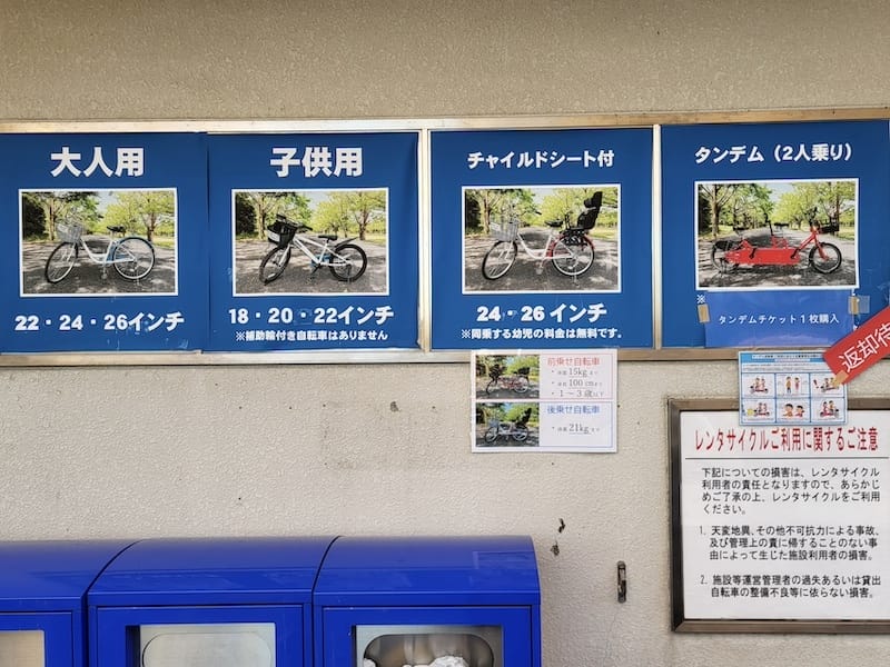 2023-11-23 東京賞楓旅Day5 昭和紀念公園銀杏步