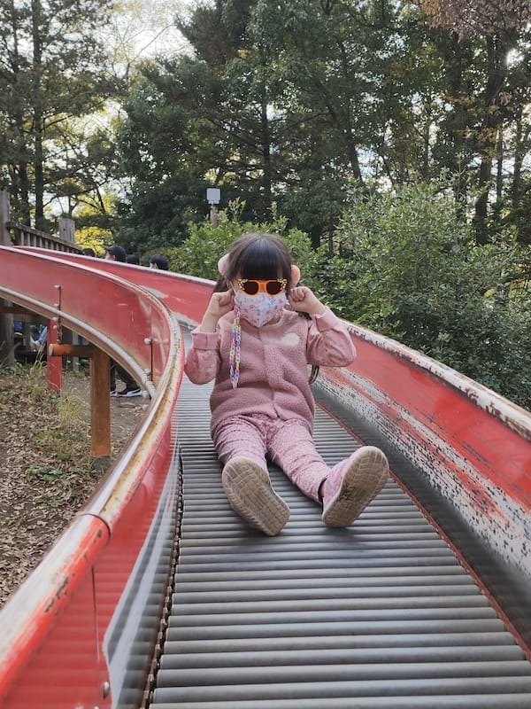 2023-11-23 東京賞楓旅Day5 昭和紀念公園銀杏步