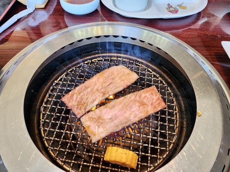 2023-11-24 東京賞楓旅Day6 板橋兒童動物園摸到