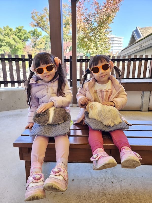 2023-11-24 東京賞楓旅Day6 板橋兒童動物園摸到