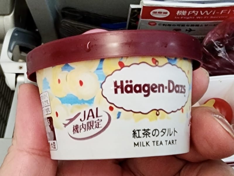 2023-11-24 日本航空JL809 NRT-TPE 東