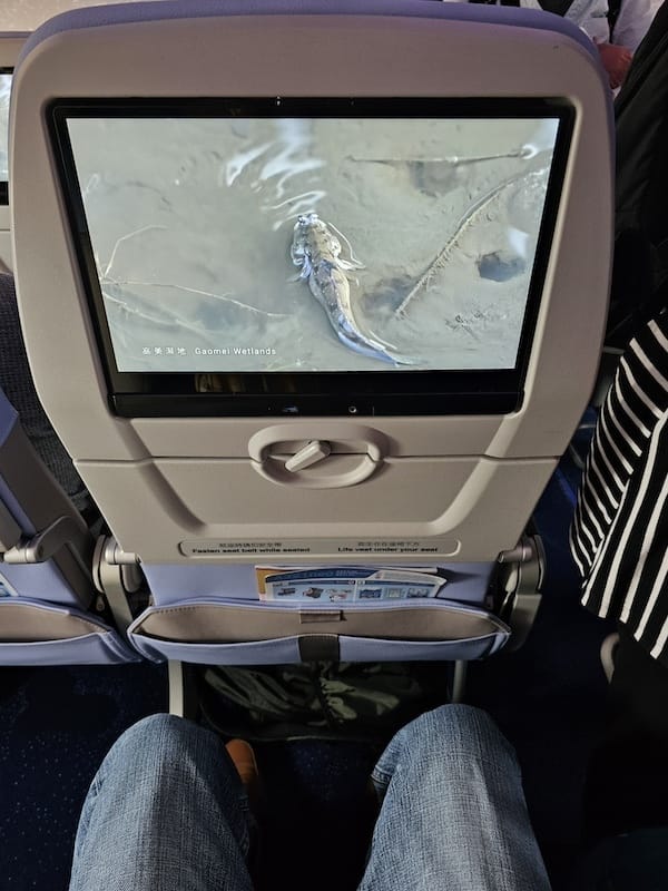 2024-03-27 中華航空CI154 TPE-NGO 台