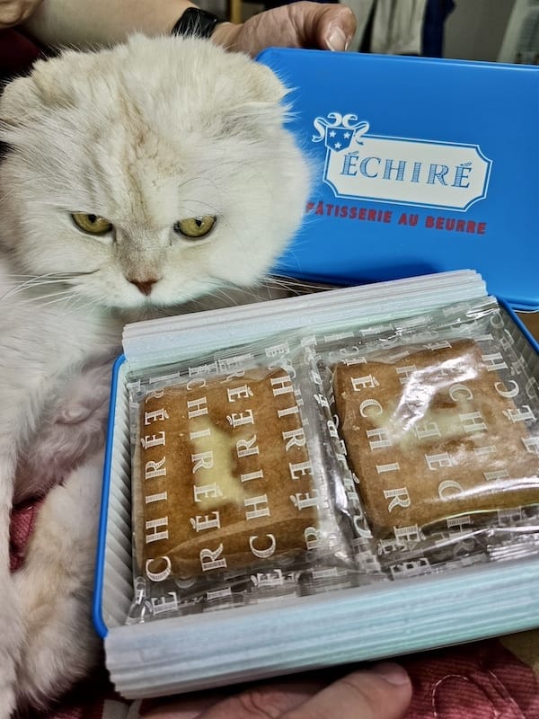 2024-03-27 名古屋賞櫻旅Day1 ÉCHIRÉ艾許