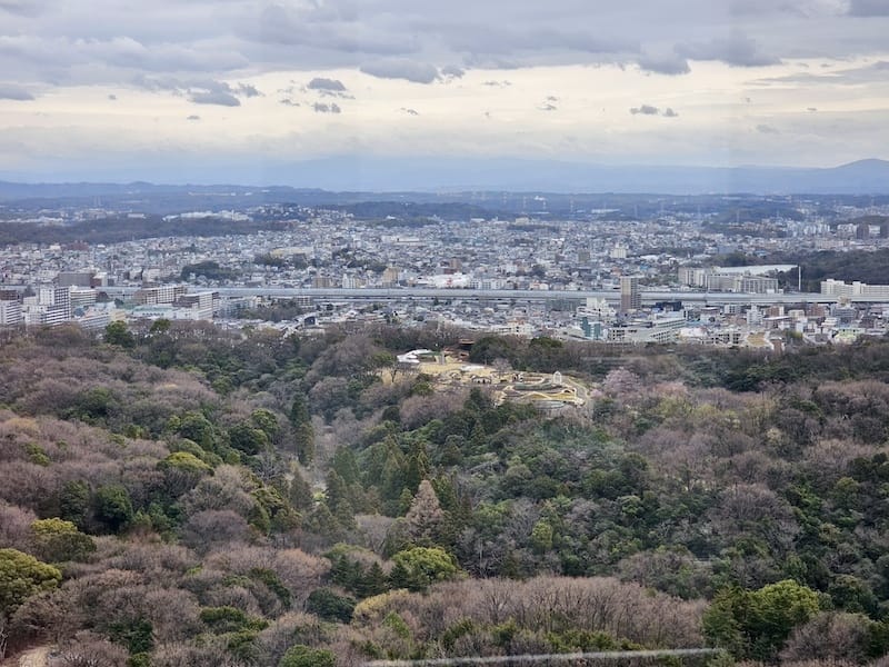 2024-03-28 名古屋賞櫻旅Day2 東山動植物園+熱
