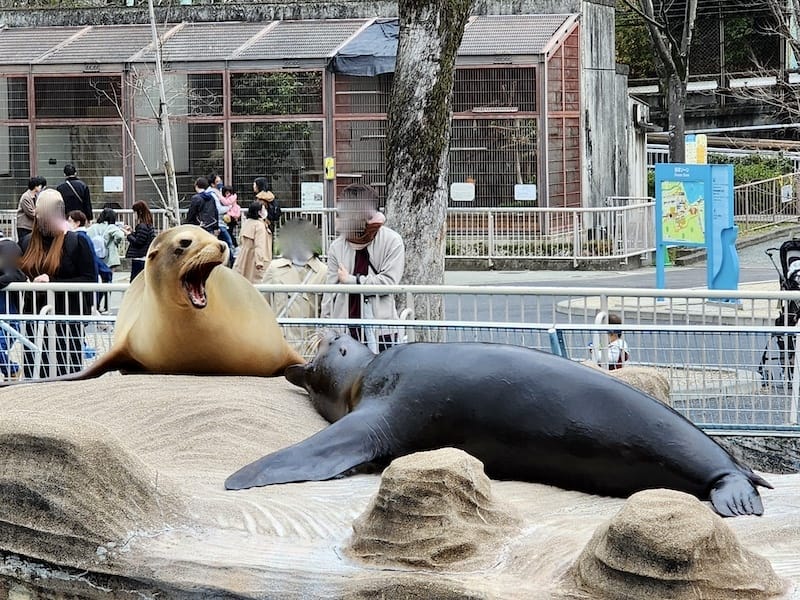 2024-03-28 名古屋賞櫻旅Day2 東山動植物園+熱