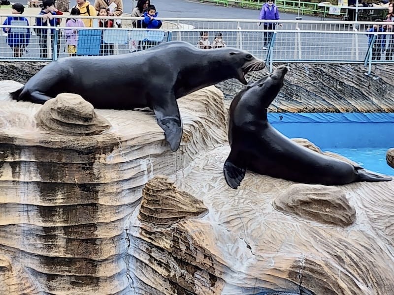 2024-03-28 名古屋賞櫻旅Day2 東山動植物園+熱