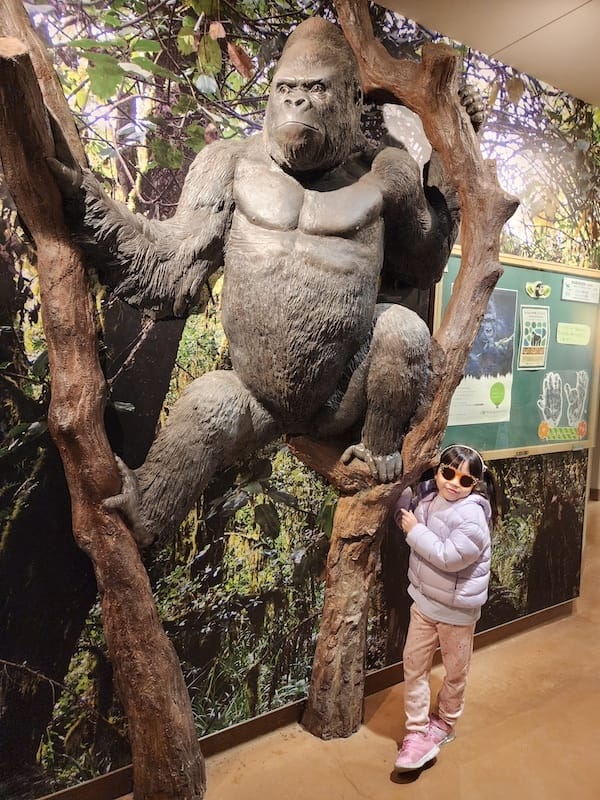 2024-03-28 名古屋賞櫻旅Day2 東山動植物園+熱