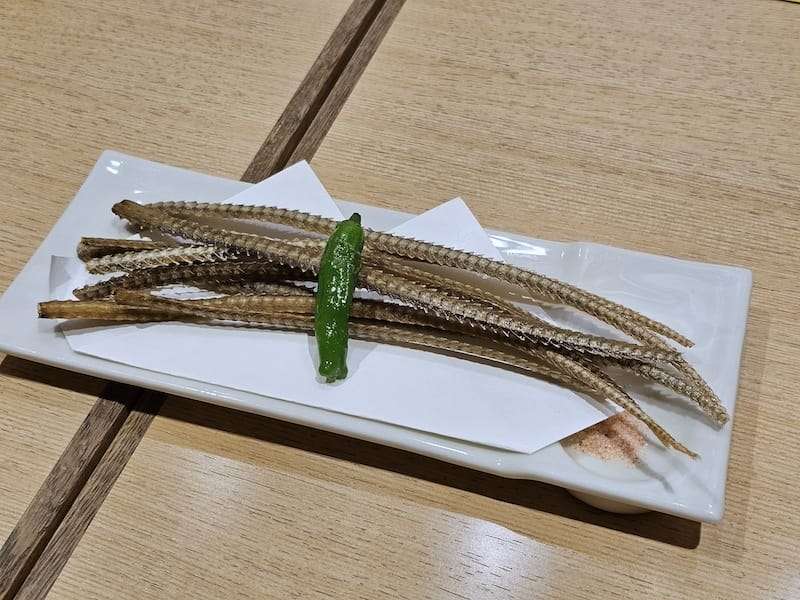 2024-03-28 名古屋賞櫻旅Day2 東山動植物園+熱