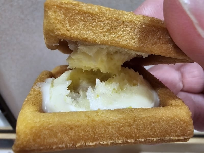 2024-03-28 名古屋賞櫻旅Day2 東山動植物園+熱