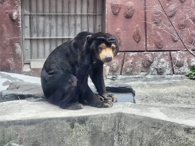 2024-03-28 名古屋賞櫻旅Day2 東山動植物園+熱