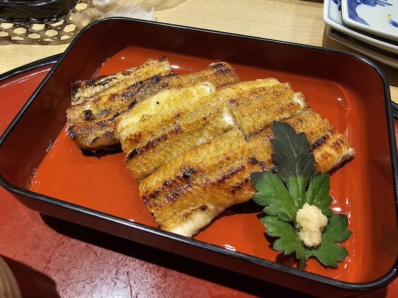 2024-03-28 名古屋賞櫻旅Day2 東山動植物園+熱