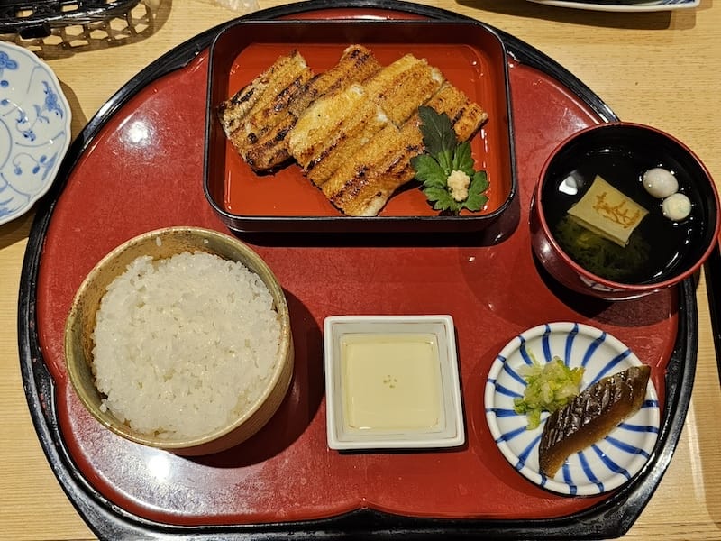 2024-03-28 名古屋賞櫻旅Day2 東山動植物園+熱