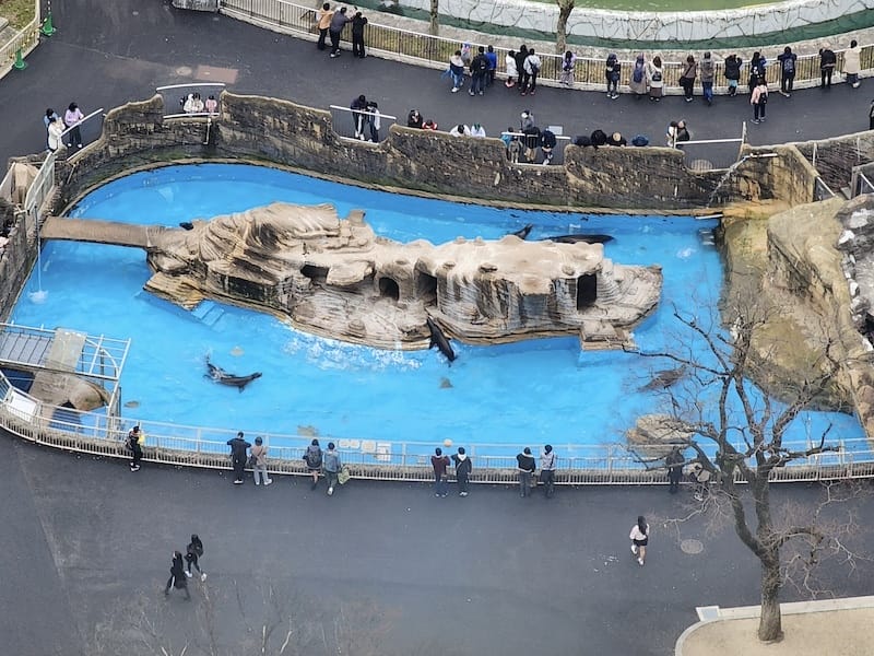 2024-03-28 名古屋賞櫻旅Day2 東山動植物園+熱