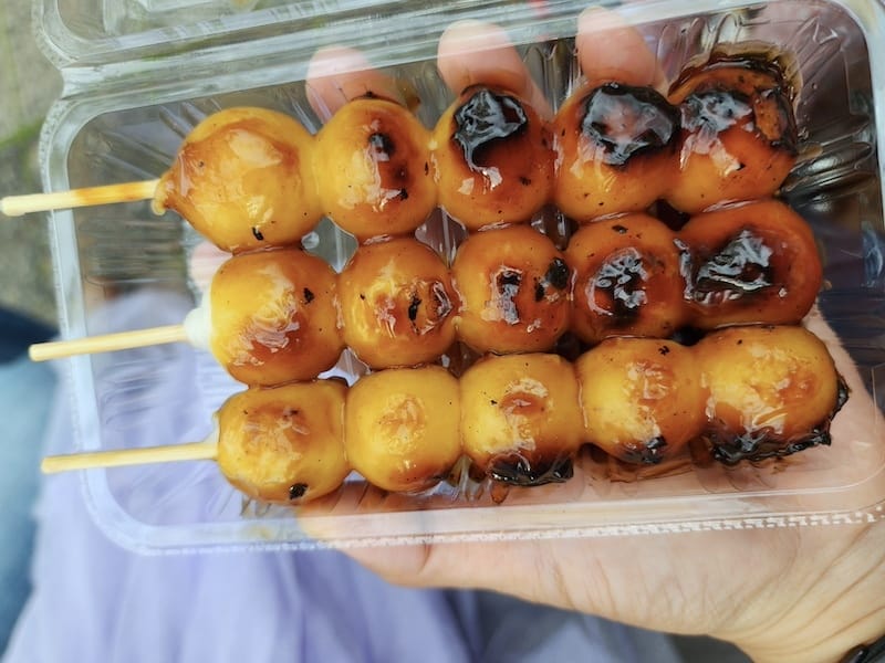 2024-03-31 名古屋賞櫻旅Day5 鶴舞公園+名古屋