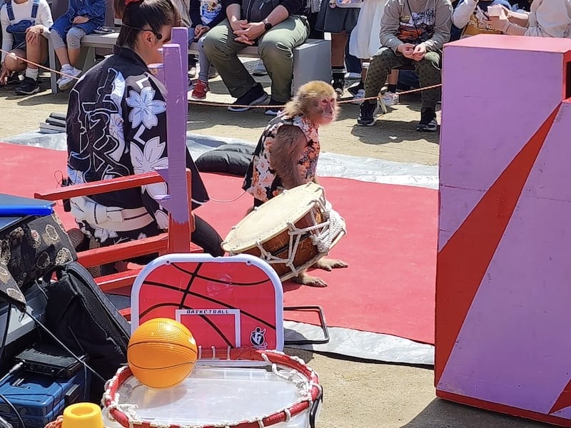 2024-03-30 名古屋賞櫻旅Day4 岡崎城公園+ L