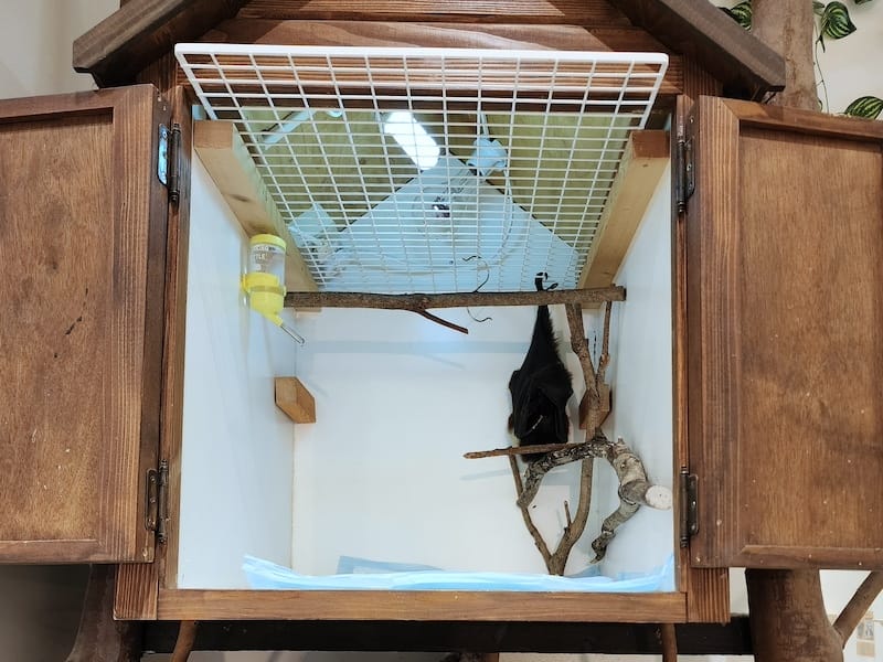 2024-03-30 名古屋賞櫻旅Day4 岡崎城公園+ L