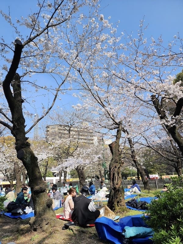 2024-03-31 名古屋賞櫻旅Day5 鶴舞公園+名古屋