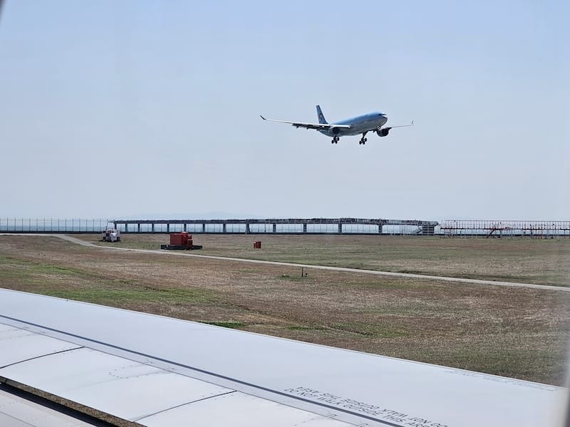 2024-04-01 中華航空CI155 NGO-TPE 名