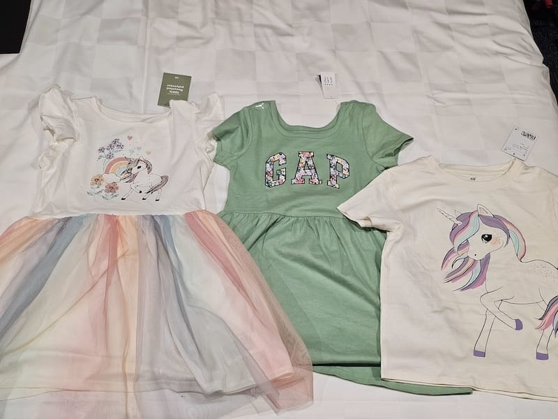 2024-03-30 名古屋賞櫻旅Day4 岡崎城公園+ L