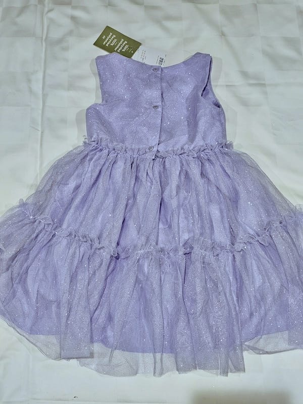 2024-03-30 名古屋賞櫻旅Day4 岡崎城公園+ L