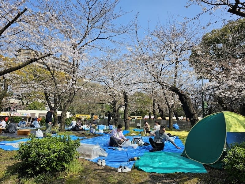 2024-03-31 名古屋賞櫻旅Day5 鶴舞公園+名古屋