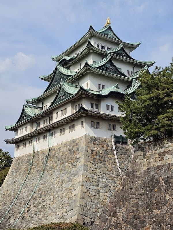 2024-03-31 名古屋賞櫻旅Day5 鶴舞公園+名古屋