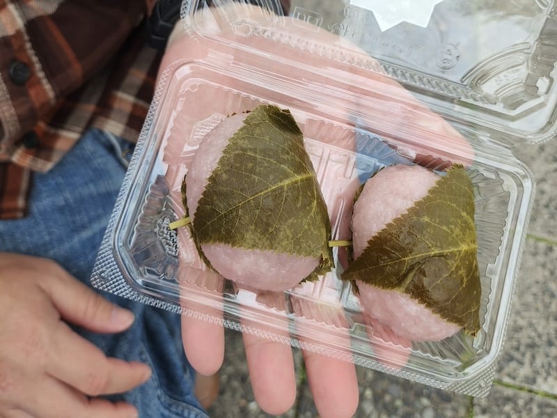 2024-03-31 名古屋賞櫻旅Day5 鶴舞公園+名古屋