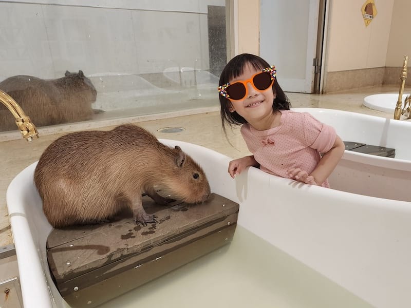 2024-03-30 名古屋賞櫻旅Day4 岡崎城公園+ L