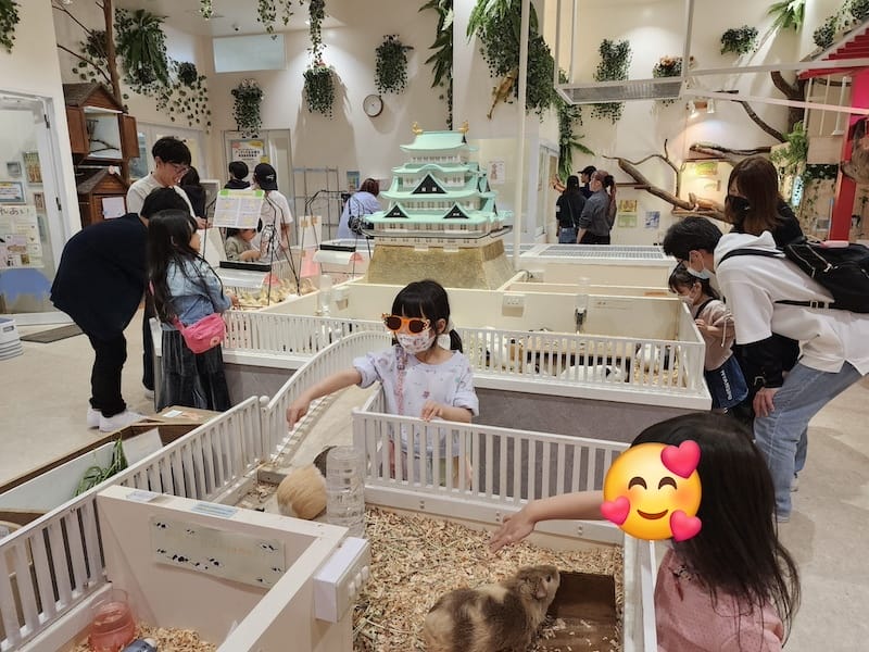 2024-03-30 名古屋賞櫻旅Day4 岡崎城公園+ L