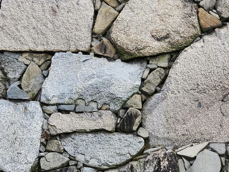 2024-03-31 名古屋賞櫻旅Day5 鶴舞公園+名古屋