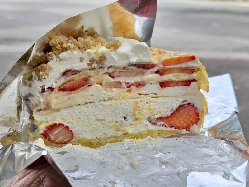 2024-03-31 名古屋賞櫻旅Day5 鶴舞公園+名古屋