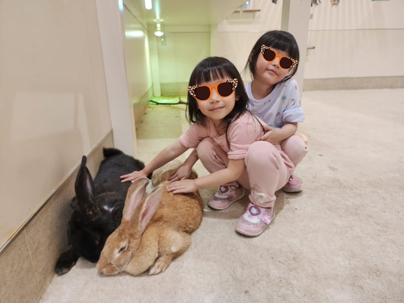 2024-03-30 名古屋賞櫻旅Day4 岡崎城公園+ L