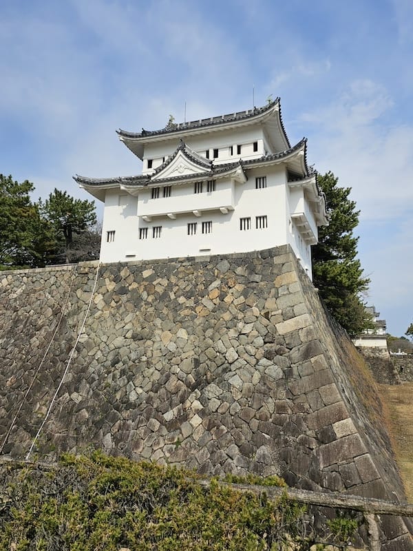 2024-03-31 名古屋賞櫻旅Day5 鶴舞公園+名古屋