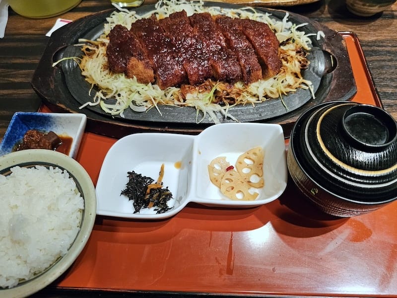 2024-03-30 名古屋賞櫻旅Day4 岡崎城公園+ L