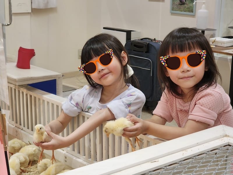 2024-03-30 名古屋賞櫻旅Day4 岡崎城公園+ L