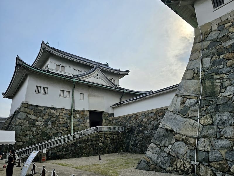 2024-03-31 名古屋賞櫻旅Day5 鶴舞公園+名古屋