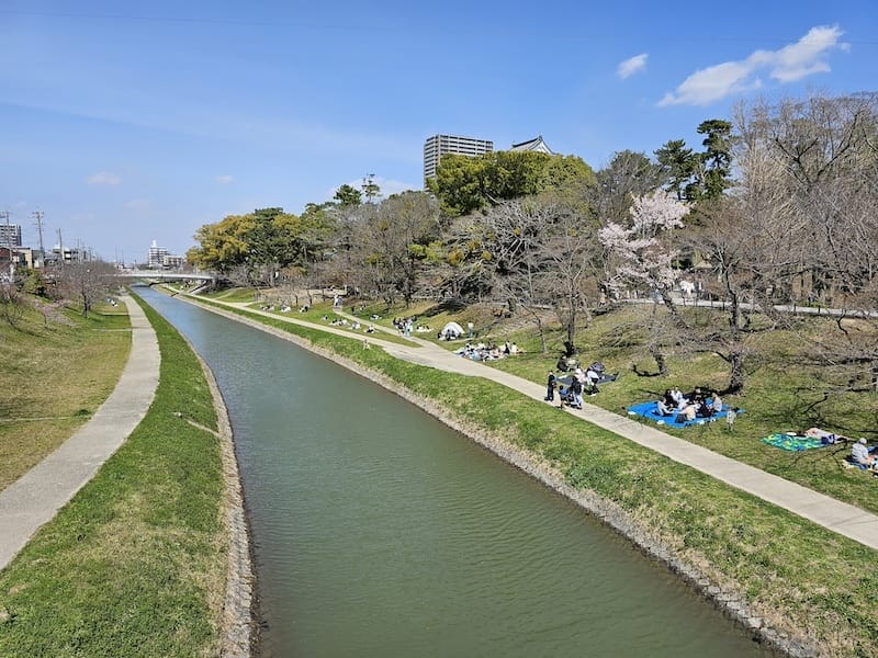 2024-03-30 名古屋賞櫻旅Day4 岡崎城公園+ L