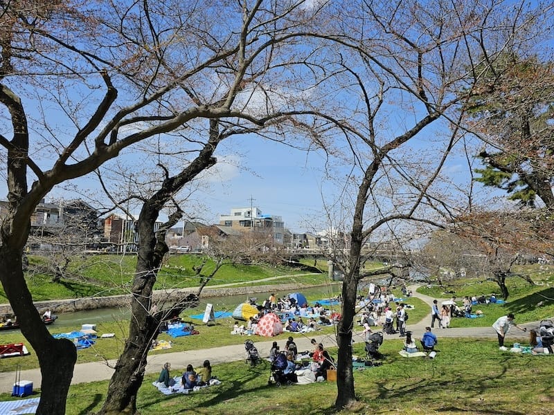 2024-03-30 名古屋賞櫻旅Day4 岡崎城公園+ L