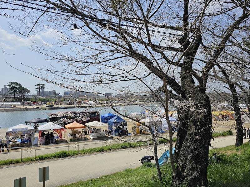 2024-03-30 名古屋賞櫻旅Day4 岡崎城公園+ L