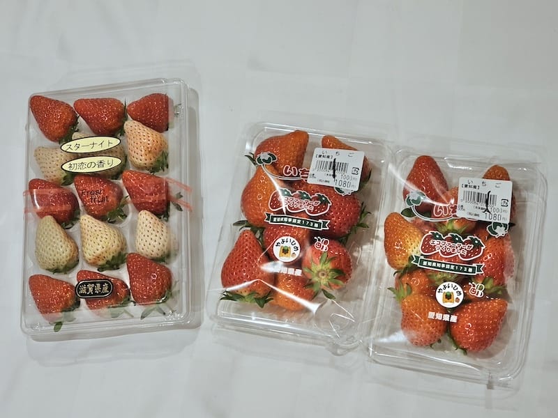 2024-03-30 名古屋賞櫻旅Day4 岡崎城公園+ L