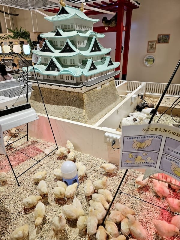 2024-03-30 名古屋賞櫻旅Day4 岡崎城公園+ L