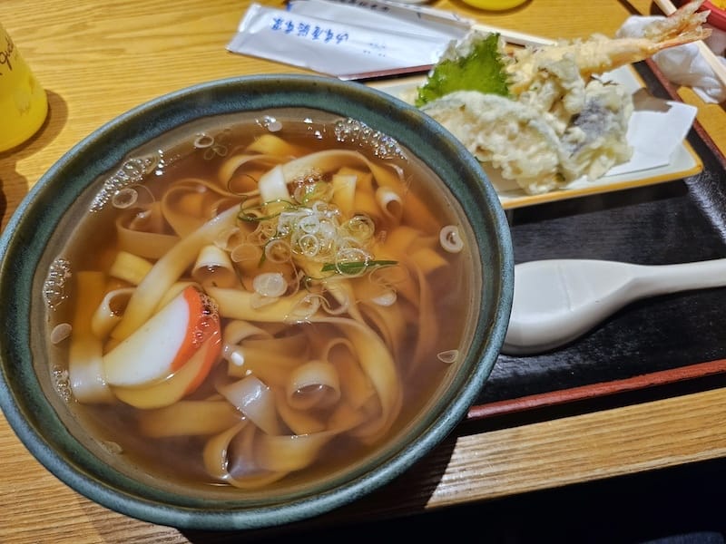 2024-03-31 名古屋賞櫻旅Day5 鶴舞公園+名古屋