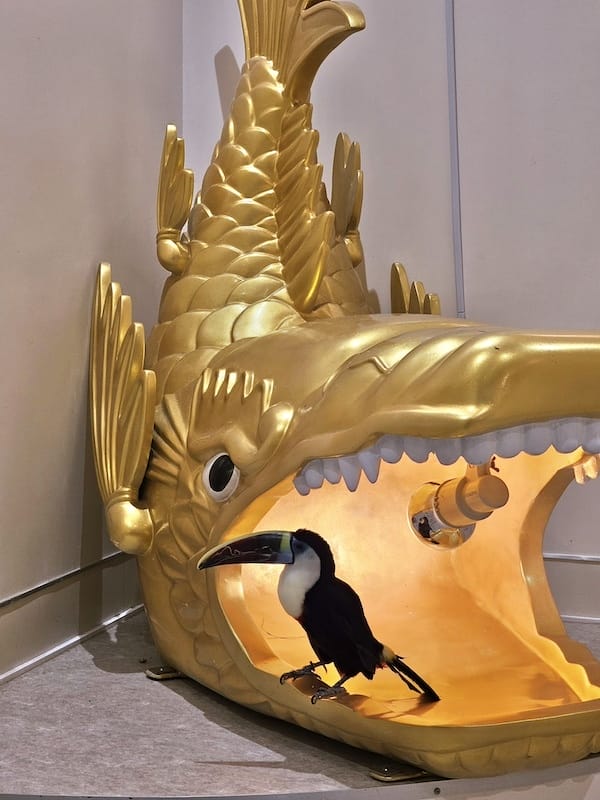 2024-03-30 名古屋賞櫻旅Day4 岡崎城公園+ L