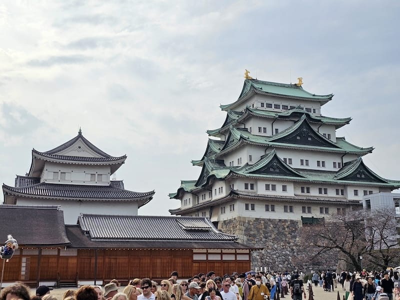 2024-03-31 名古屋賞櫻旅Day5 鶴舞公園+名古屋